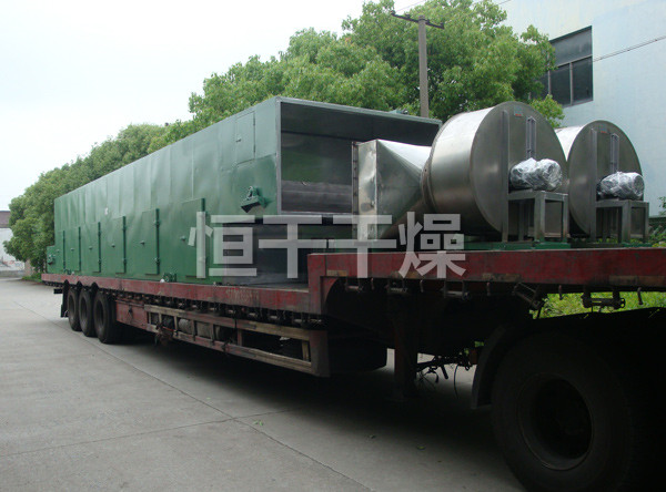 DWC系列脱水蔬菜带式干燥机